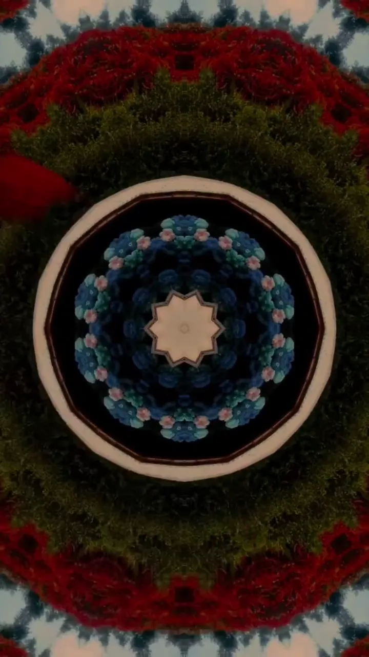 Mirrored garden collage with red foliage and blue flowers arranged around a central star